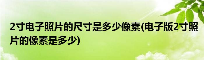 2寸电子照片的尺寸是多少像素(电子版2寸照片的像素是多少)