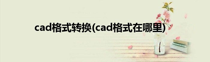 cad格式转换(cad格式在哪里)