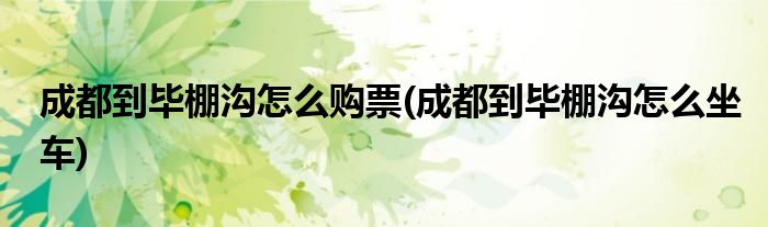 成都到毕棚沟怎么购票(成都到毕棚沟怎么坐车)