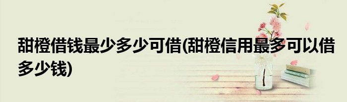 甜橙借钱最少多少可借(甜橙信用最多可以借多少钱)