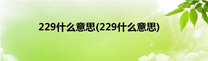 229什么意思(229什么意思)