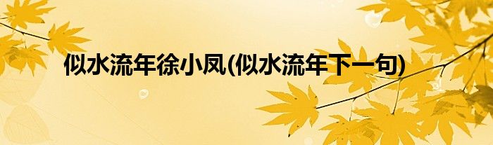 似水流年徐小凤(似水流年下一句)