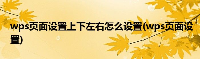 wps页面设置上下左右怎么设置(wps页面设置)