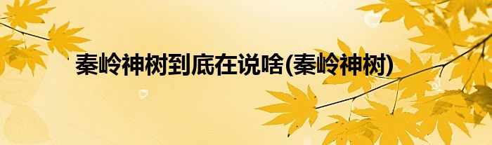 秦岭神树到底在说啥(秦岭神树)