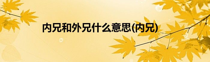 内兄和外兄什么意思(内兄)