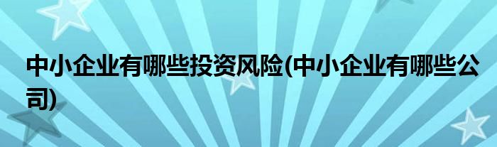 中小企业有哪些投资风险(中小企业有哪些公司)