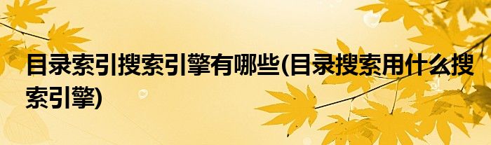 目录索引搜索引擎有哪些(目录搜索用什么搜索引擎)