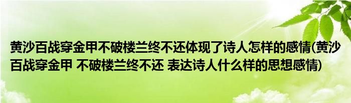 黄沙百战穿金甲不破楼兰终不还体现了诗人怎样的感情(黄沙百战穿金甲 不破楼兰终不还 表达诗人什么样的思想感情)