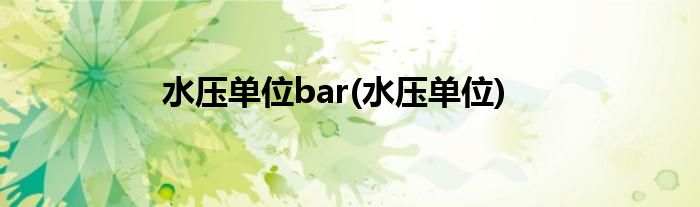 水压单位bar(水压单位)