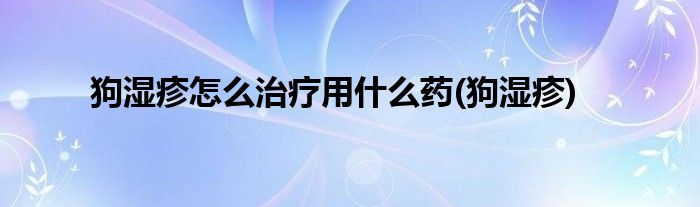 狗湿疹怎么治疗用什么药(狗湿疹)
