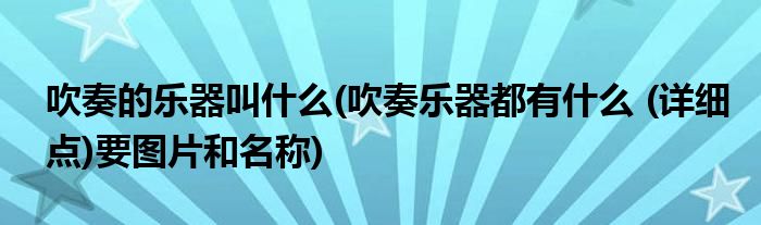 吹奏的乐器叫什么(吹奏乐器都有什么 (详细点)要图片和名称)