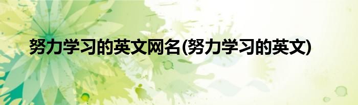 努力学习的英文网名(努力学习的英文)