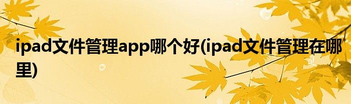 ipad文件管理app哪个好(ipad文件管理在哪里)