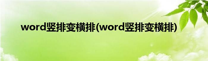 word竖排变横排(word竖排变横排)