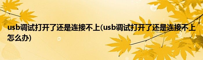 usb调试打开了还是连接不上(usb调试打开了还是连接不上怎么办)