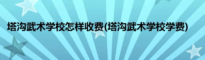 塔沟武术学校怎样收费(塔沟武术学校学费)