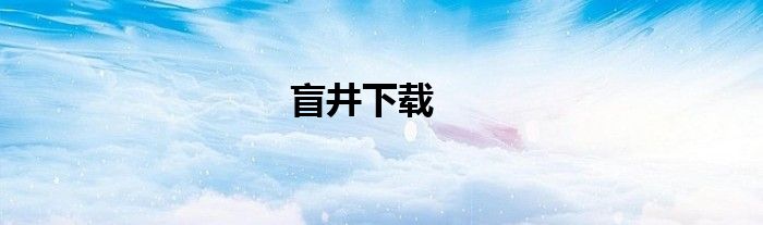 盲井下载