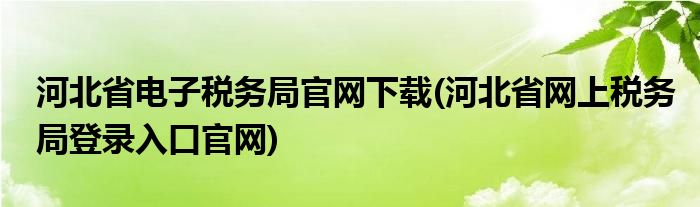 河北省电子税务局官网下载(河北省网上税务局登录入口官网)
