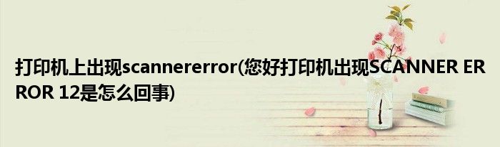 打印机上出现scannererror(您好打印机出现SCANNER ERROR 12是怎么回事)