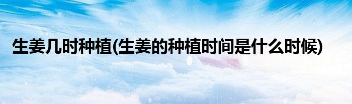 生姜几时种植(生姜的种植时间是什么时候)