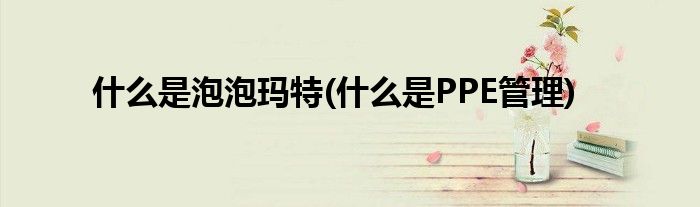 什么是泡泡玛特(什么是PPE管理)