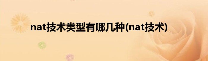 nat技术类型有哪几种(nat技术)