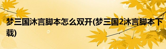 梦三国沐言脚本怎么双开(梦三国2沐言脚本下载)