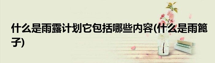 什么是雨露计划它包括哪些内容(什么是雨篦子)