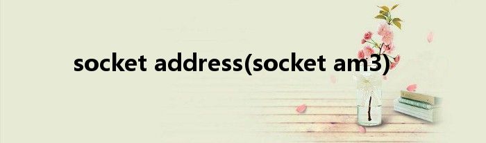 socket address(socket am3)