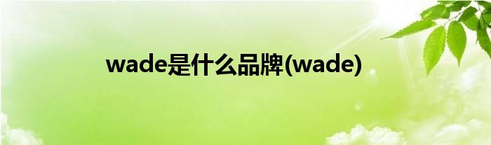 wade是什么品牌(wade)