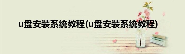 u盘安装系统教程(u盘安装系统教程)
