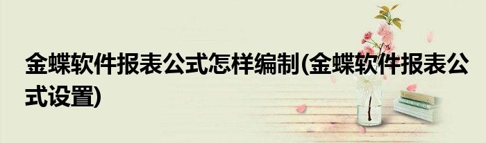 金蝶软件报表公式怎样编制(金蝶软件报表公式设置)