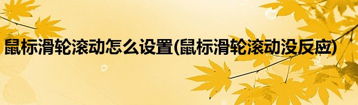 鼠标滑轮滚动怎么设置(鼠标滑轮滚动没反应)