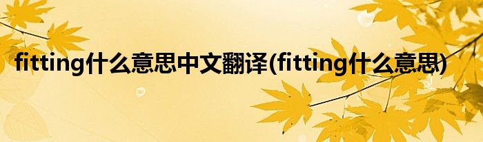 fitting什么意思中文翻译(fitting什么意思)