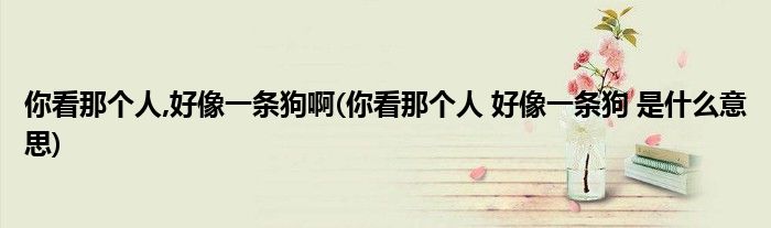 你看那个人,好像一条狗啊(你看那个人 好像一条狗 是什么意思)