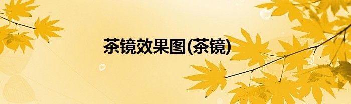 茶镜效果图(茶镜)