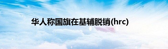 华人称国旗在基辅脱销(hrc)
