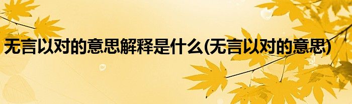 无言以对的意思解释是什么(无言以对的意思)
