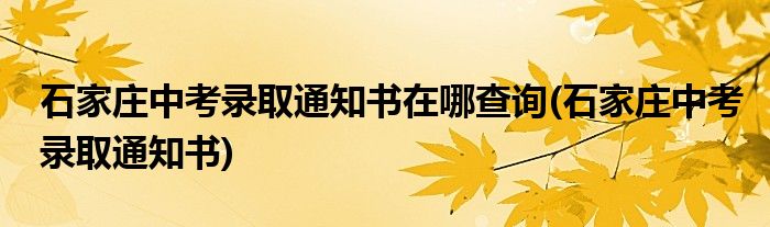 石家庄中考录取通知书在哪查询(石家庄中考录取通知书)