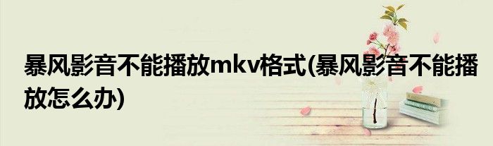 暴风影音不能播放mkv格式(暴风影音不能播放怎么办)