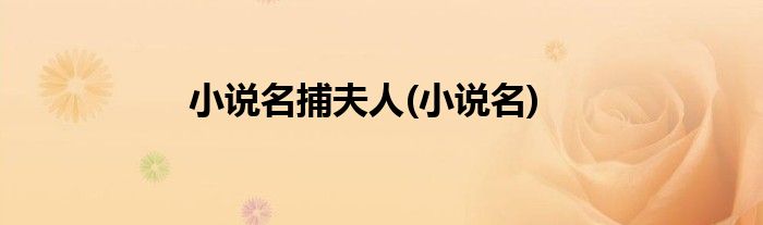 小说名捕夫人(小说名)