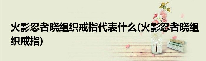 火影忍者晓组织戒指代表什么(火影忍者晓组织戒指)