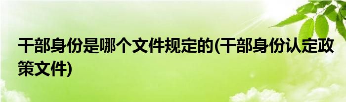 干部身份是哪个文件规定的(干部身份认定政策文件)