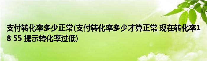 支付转化率多少正常(支付转化率多少才算正常 现在转化率18 55 提示转化率过低)