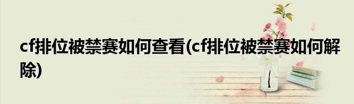 cf排位被禁赛如何查看(cf排位被禁赛如何解除)
