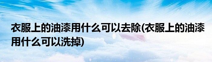 衣服上的油漆用什么可以去除(衣服上的油漆用什么可以洗掉)