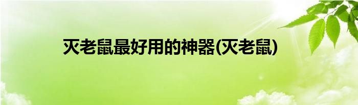 灭老鼠最好用的神器(灭老鼠)