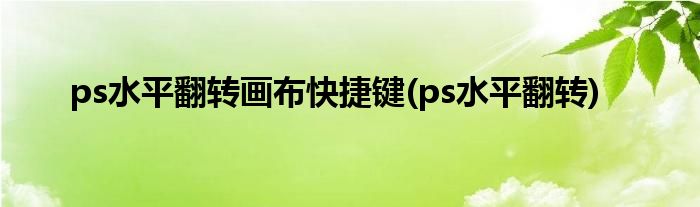 ps水平翻转画布快捷键(ps水平翻转)