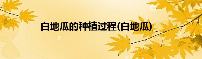 白地瓜的种植过程(白地瓜)