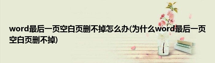 word最后一页空白页删不掉怎么办(为什么word最后一页空白页删不掉)